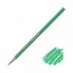 PRISMACOLOR PENCIL TRUE GREEN P