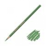 PRISMACOLOR PENCIL OLIVE GRN PC